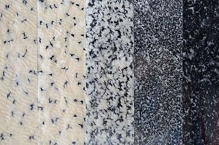 Homogenity of the draw frame blend after the third draw frame